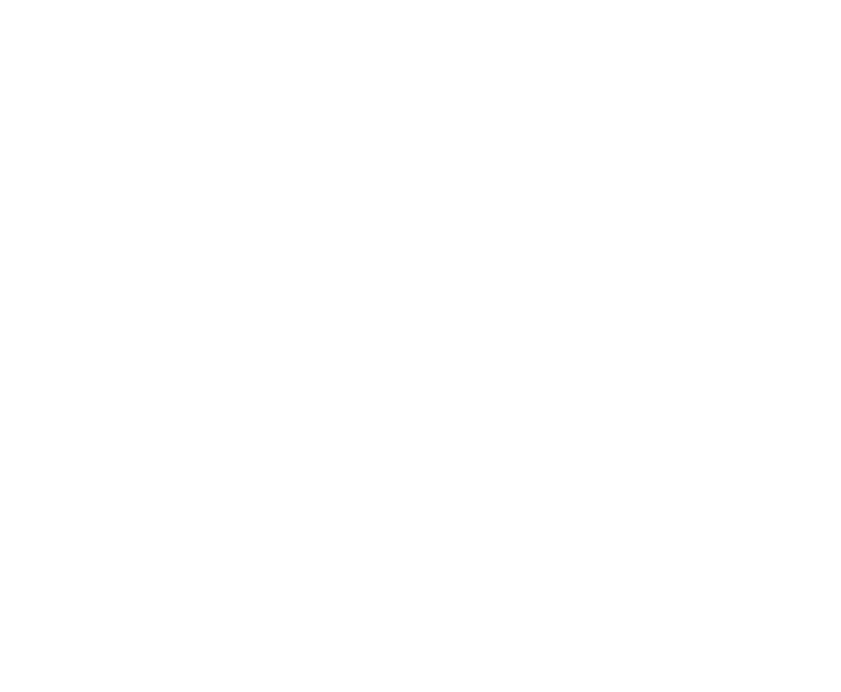 Van den Dongen Projecten